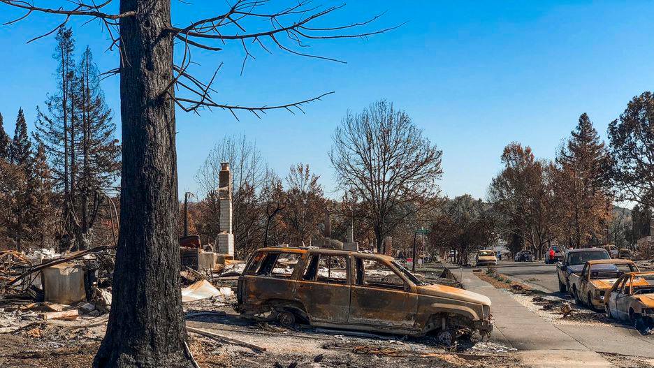 A burned out car next to a burnt tree in the aftermath of the Tubbs Fire in Coffey Park.